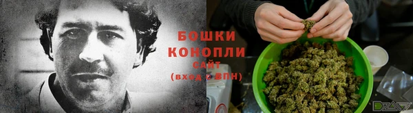 мяу мяу мука Касимов