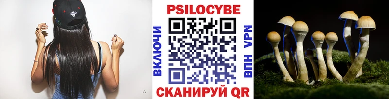 Галлюциногенные грибы GOLDEN TEACHER  Купить закладки  Богородицк 